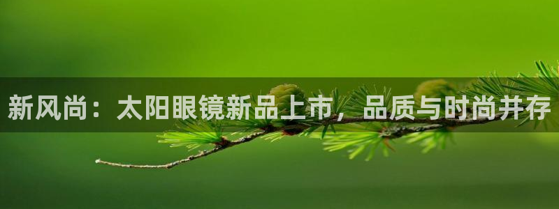 新宝5app
