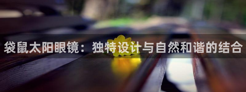 新宝股东瞧听2 5 5