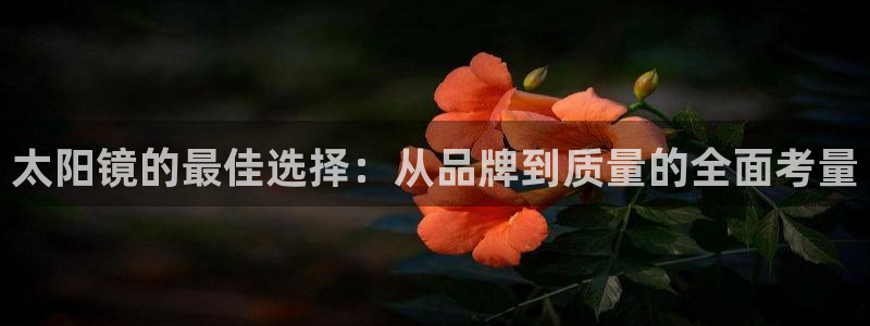 新宝5彩票娱乐平台