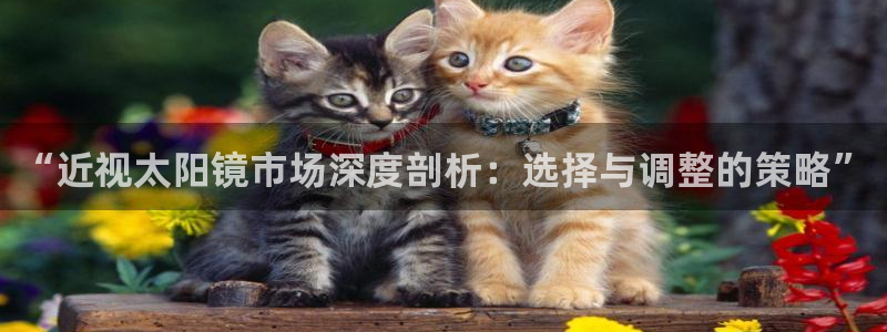 新宝5下载软件