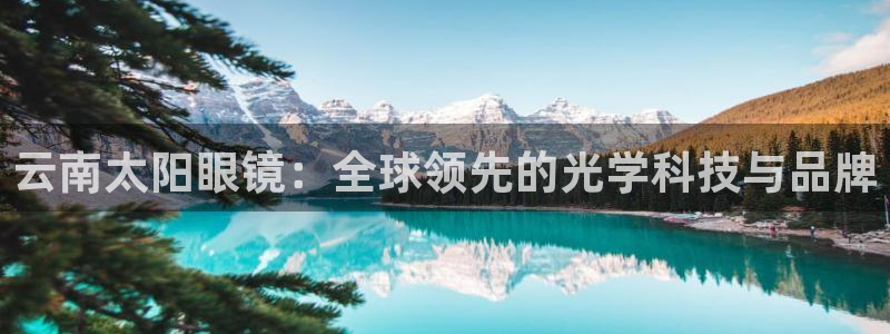 新宝5娱乐没