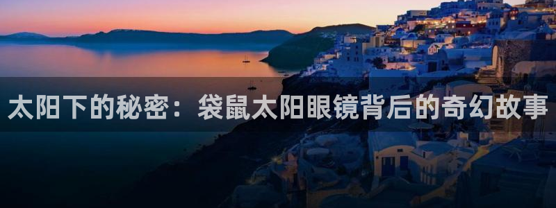 新宝5娱乐家