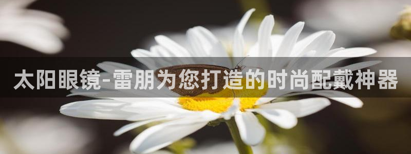 新宝5娱乐