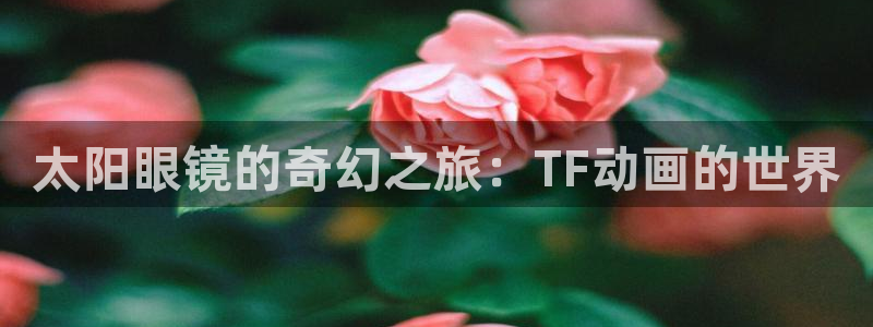 新宝5官网平台
