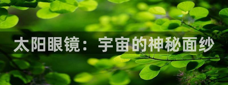 新宝5测试