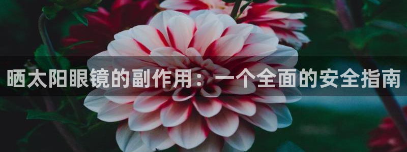 新宝5玩法