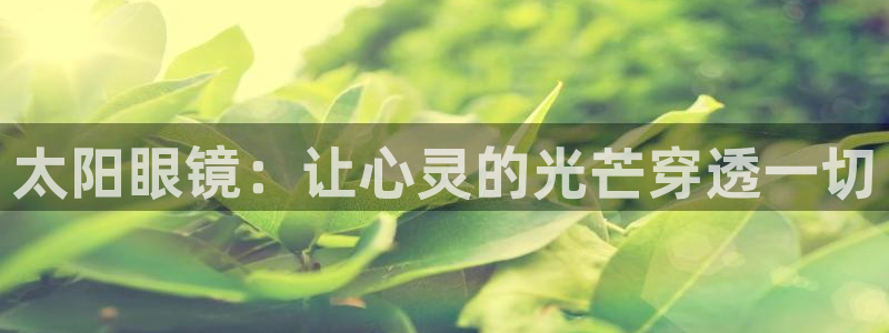 新宝股东张听2 5 5