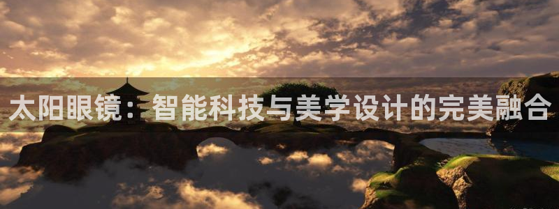 新宝股东张听2 5 5