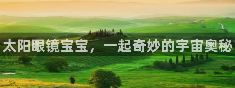 新宝5娱乐都