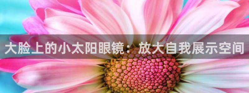 新宝5首页