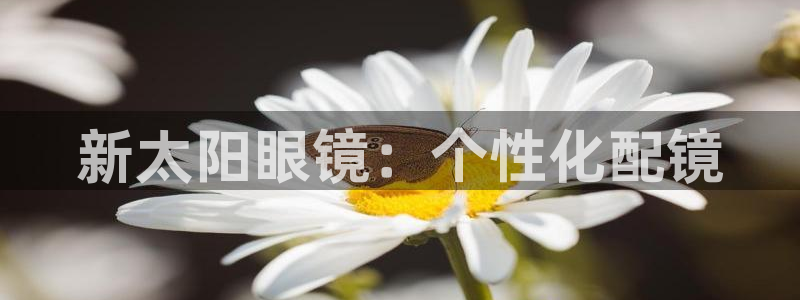 新宝5测速线路