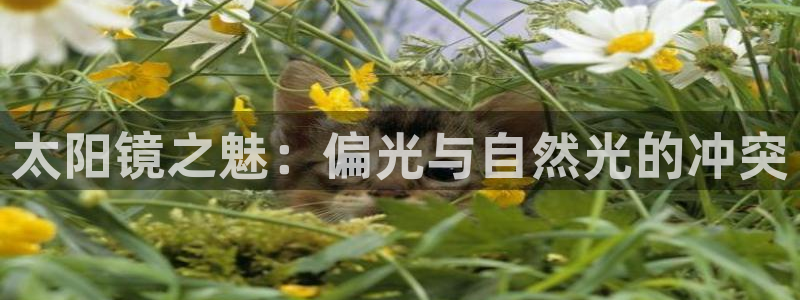 新宝cR一5