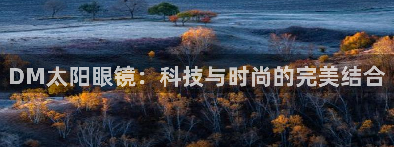 新宝5官方下载地址
