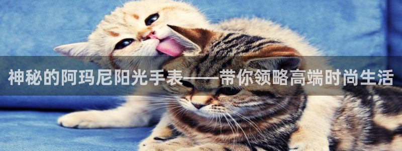 新宝5娱乐学